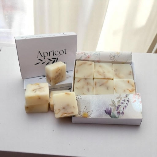 Snow Pixie Wax Melts