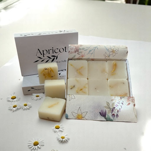 Snow Pixie Wax Melts